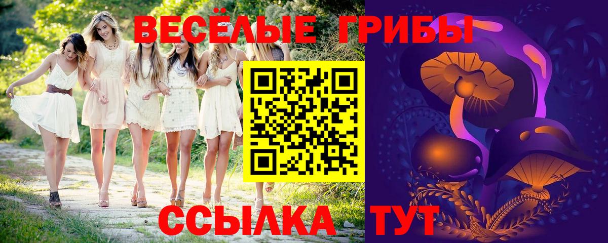 Иваново  Галлюциногенные грибы Magic Shrooms  Вход с VPN  Галлюциногенные грибы Psilocybine cubensis 